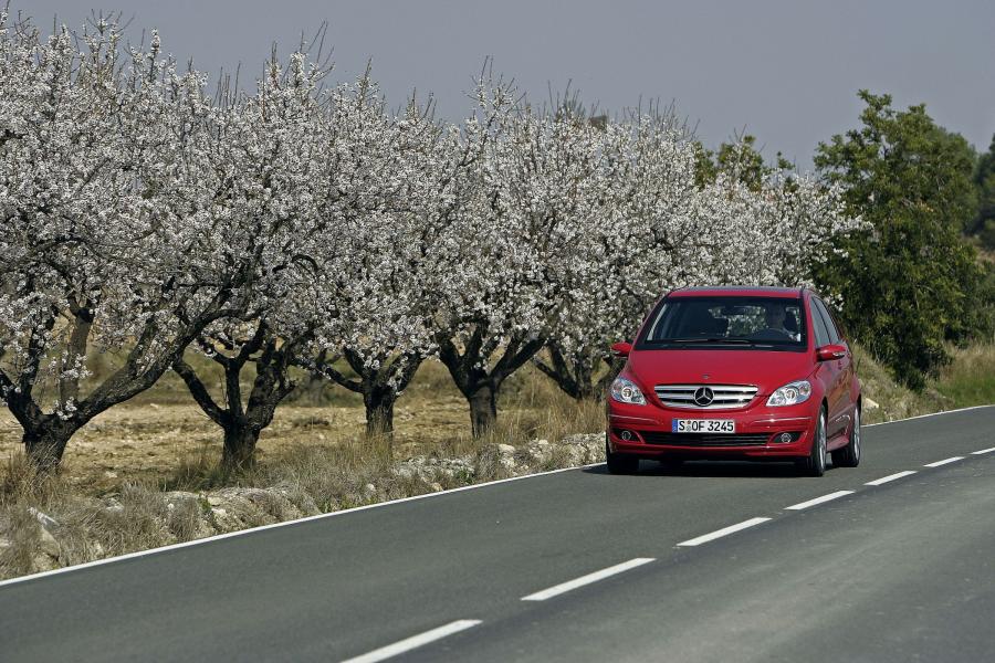  Mercedes-Benz B-Class 2006 года  (фото 56 из 211)